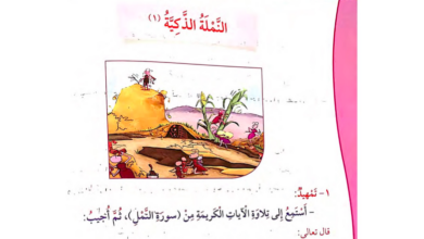 حل درس النملة الذكية للصف الثالث المنهاج الكويتي