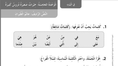 حل درس عالم الطيران للصف الثاني المنهاج الاماراتي