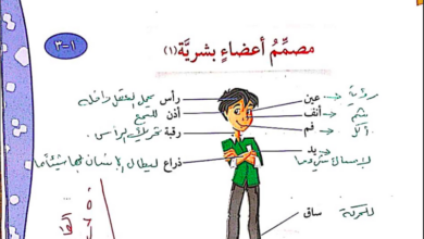 حل درس مصمم أعضاء بشرية للصف الرابع المنهاج الكويتي