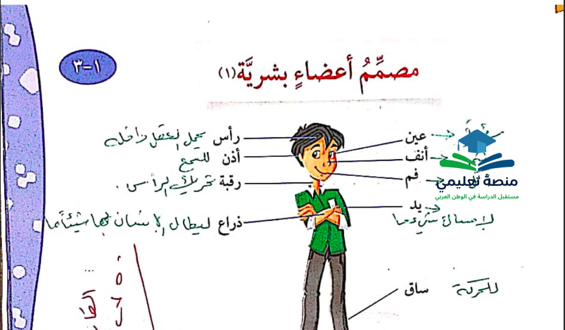 حل درس مصمم أعضاء بشرية للصف الرابع المنهاج الكويتي