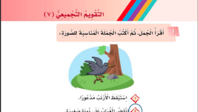 التقويم التجميعي 7 للصف الاول ابتدائي المنهاج السعودي